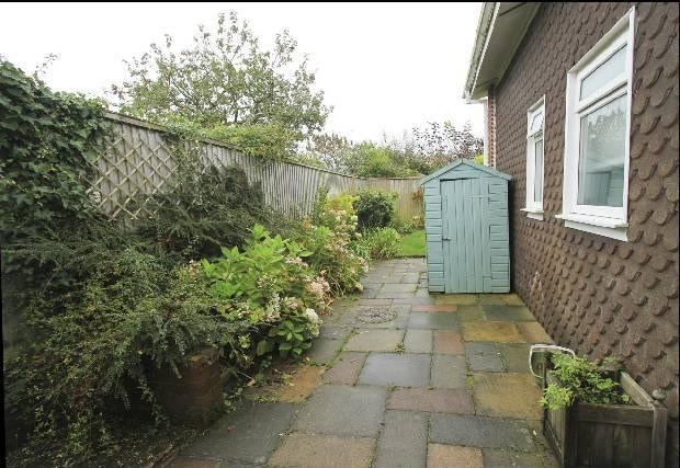 Patio Area