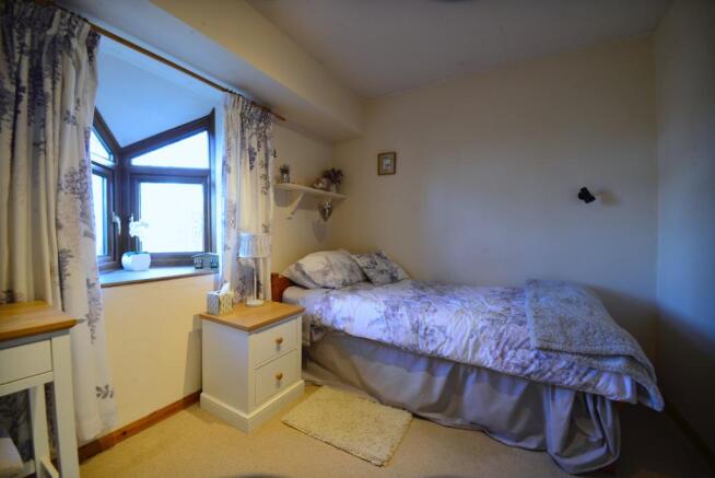 IMAGE 11