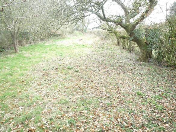 Orchard Garden