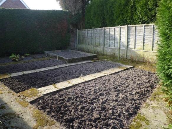 Veg Plot