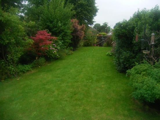 Back Garden