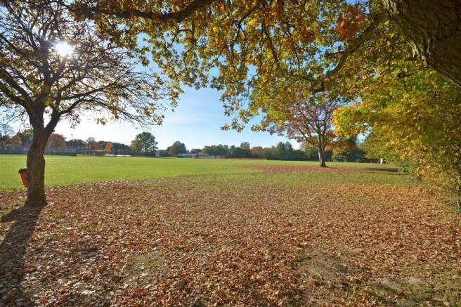 Surrounding Area