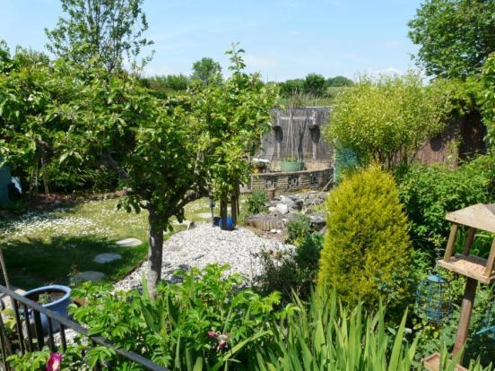 Rear Gardens