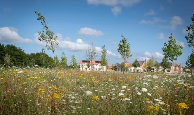 Winterbrook Meadows