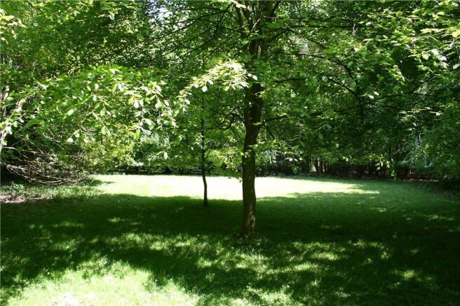 Woodland