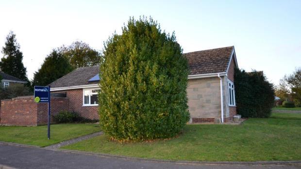 Corner Plot