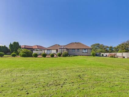 Connor Downs, Hayle - Versatile accommodation