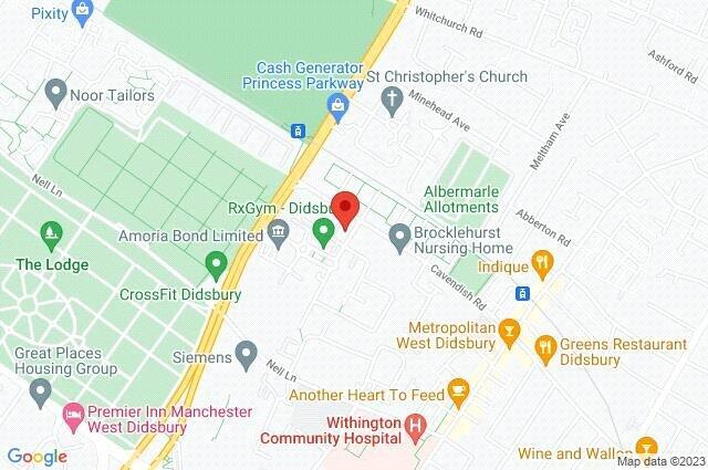 Google Maps Image