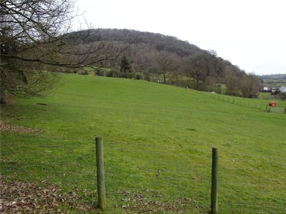 Surrounding Pasture