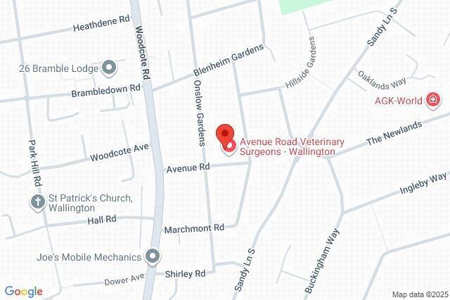 Google Maps Image