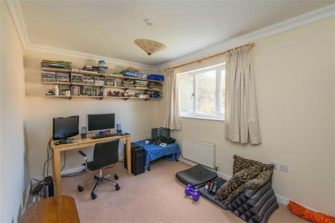 Photo 16