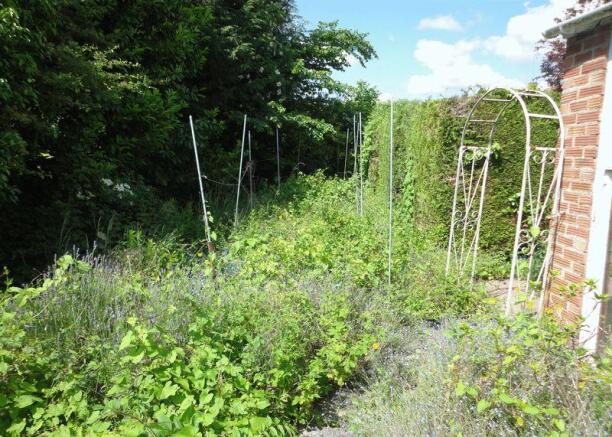 Veg plot