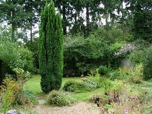 Current Garden
