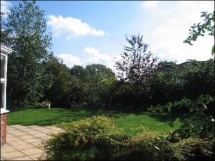 Rear garden