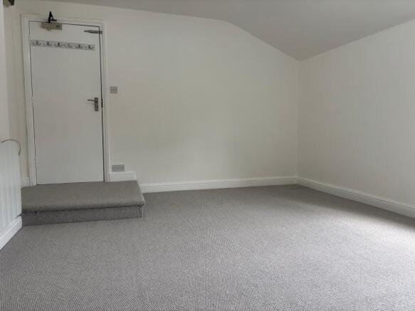 Living/bedroom