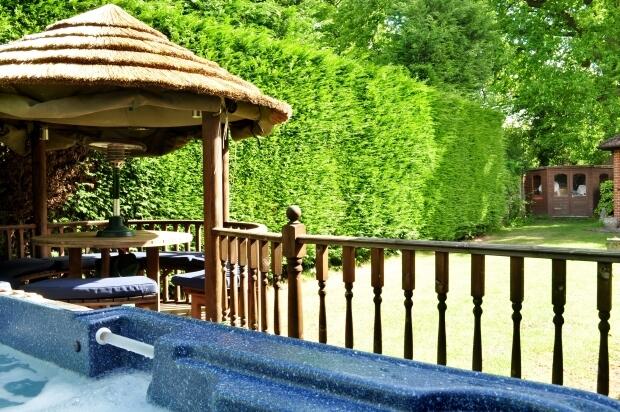 Photo 10