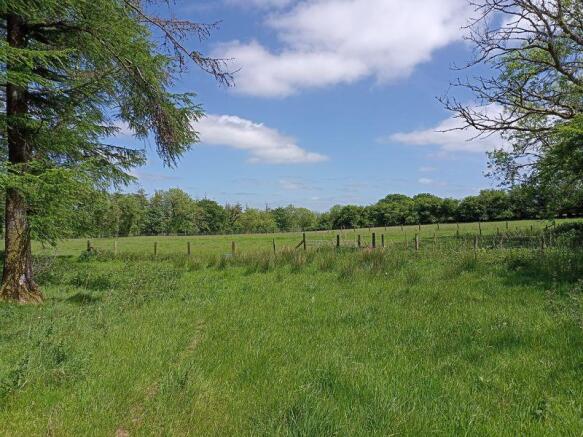 The Land