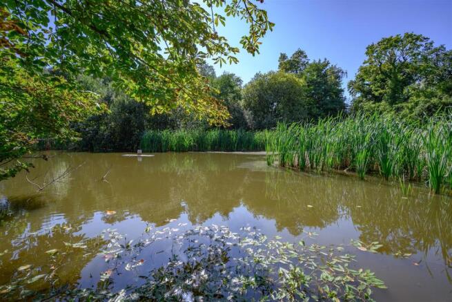 19 Pond.jpg