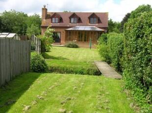 View from Garden