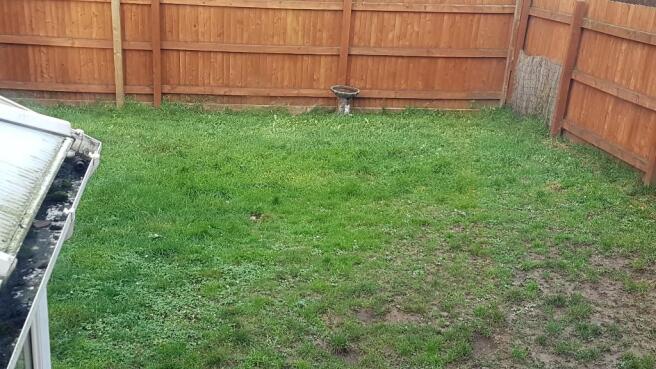 enclosed rear garden