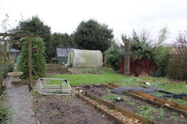 Vegetable Garden