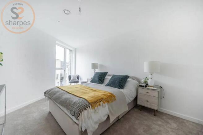 20241218110825495_original