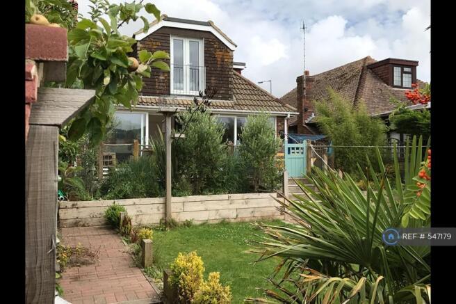 Back Garden