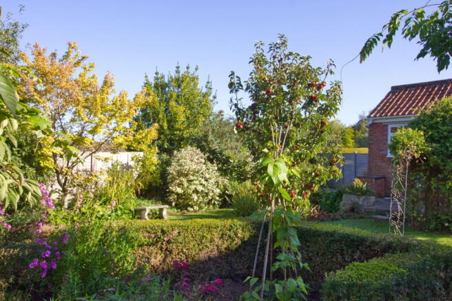 Photo 19
