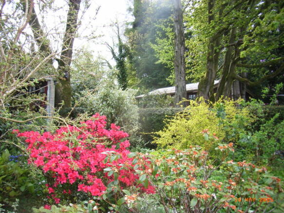 CABIN