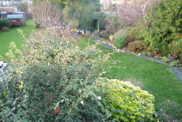 Photo 9