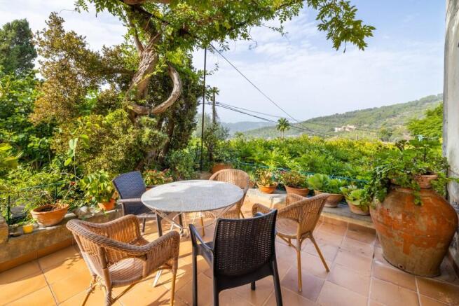 terrace views (1)