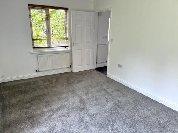 IMG_5741