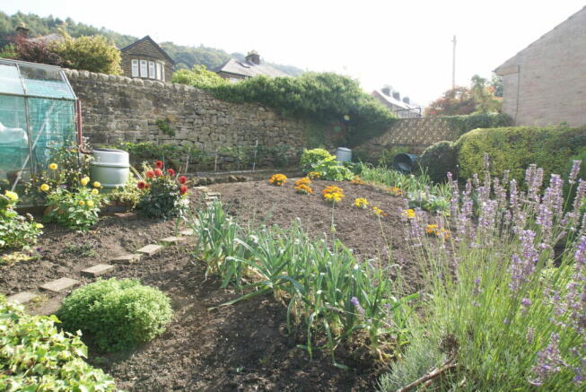 Photo 13