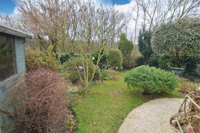 Back Garden