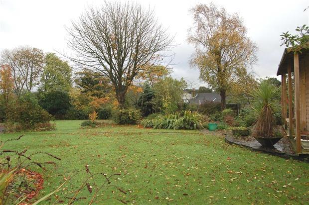 Garden view 1