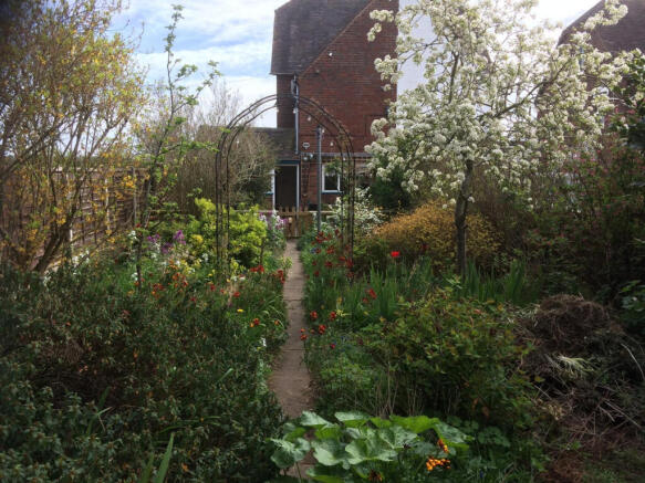 Photo 21