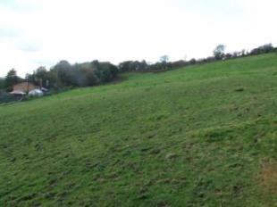 The Land