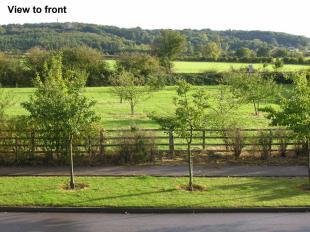 View from Bedroom 1