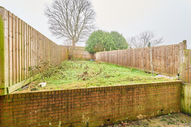 P1634614 T202601151931.jpg