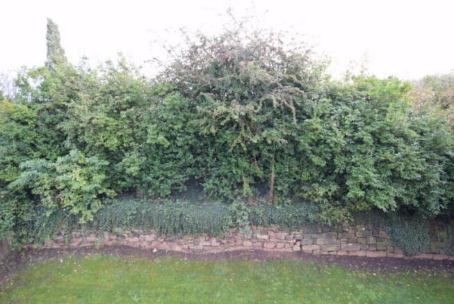 Communal Garden