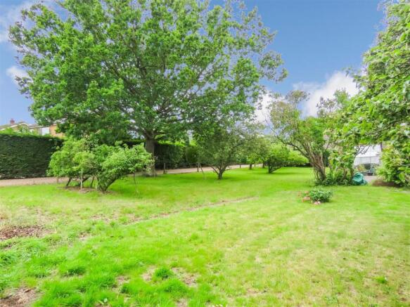 Garden 2.JPG
