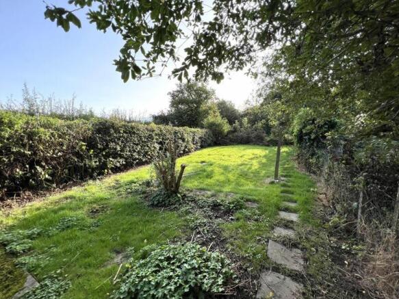 Rear garden