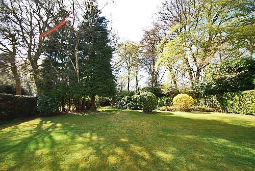 Grounds