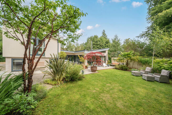 1332249-3-6894cd5...