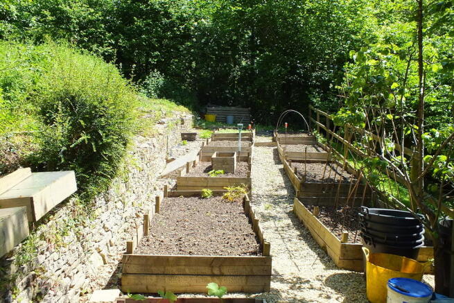 Vegetable Garden
