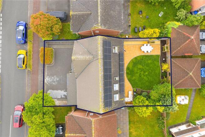 Birdseye