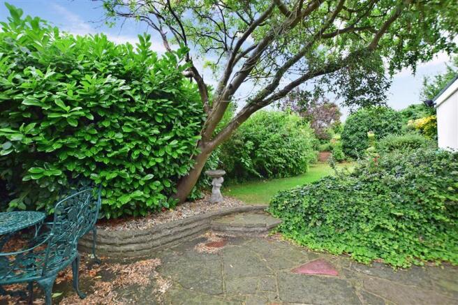 Patio Area