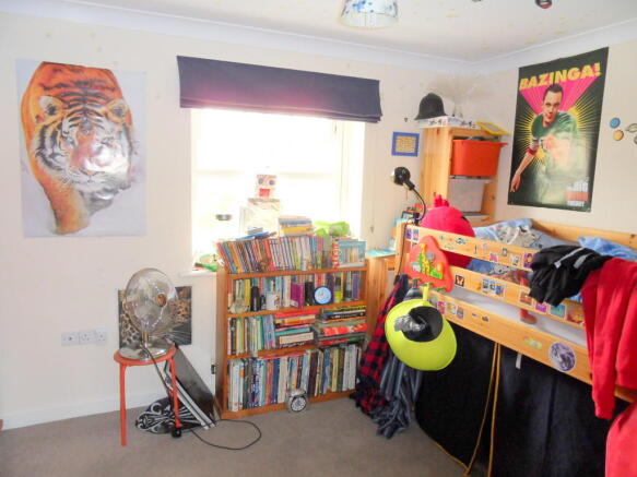 Photo 7