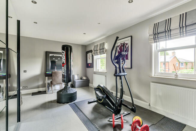 Bedroom/Gym