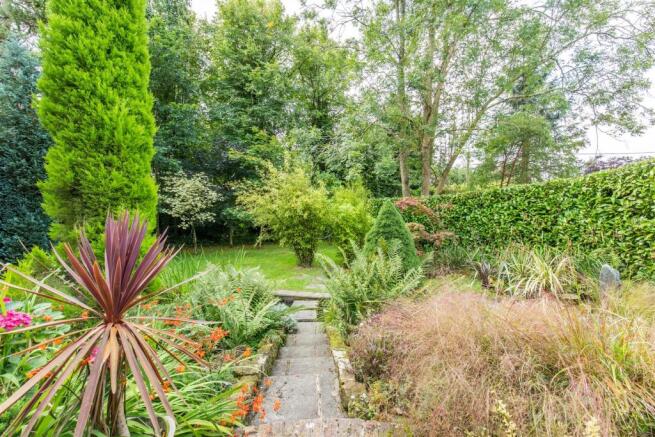 Water Garden 2.jpg